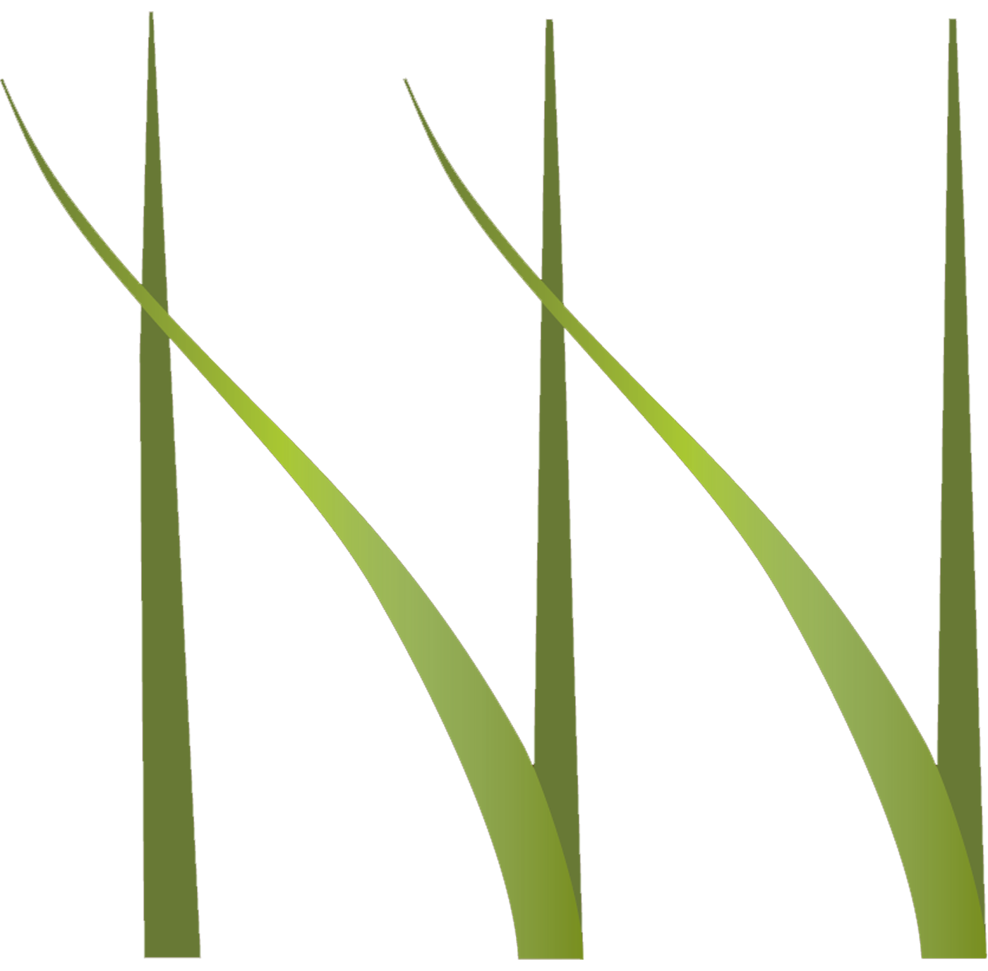 Logo (13) Abstract green leaf design with smooth curves, suitable for nature-themed projects and eco-friendly branding.